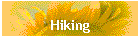 Hiking