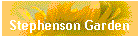 Stephenson Garden